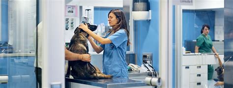 Check spelling or type a new query. General Practice | UNIVERSITY VETERINARY TEACHING HOSPITAL SYDNEY (UVTHS)