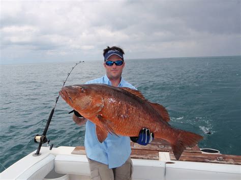 Weekly fishing reports for selected texas inland and coastal waters, with access to past reports. Panama sport fishing - The Hull Truth - Boating and ...