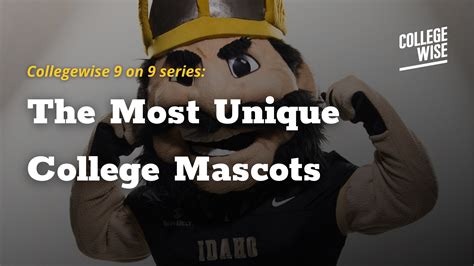 The Most Unique College Mascots