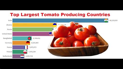 Worlds Largest Tomato Producing Countries 1961 2018 Youtube
