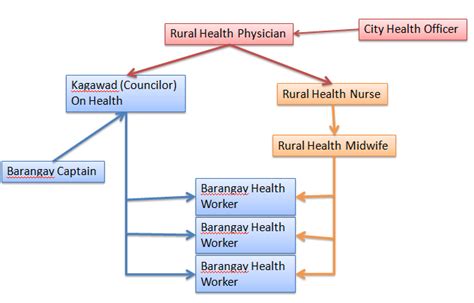 Public Health Resources What Is The Organizational Hierarchy Inside