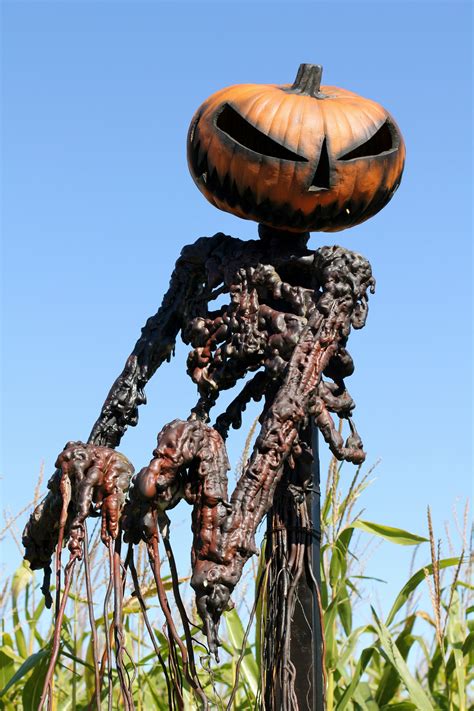 Scary Scarecrows Scary Scarecrow Scarecrow Diy Scarecrow