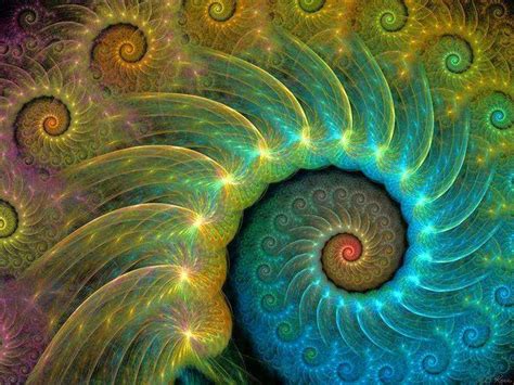 Espiral Fibonacci Spiral Art Spiral Art Fractal Art