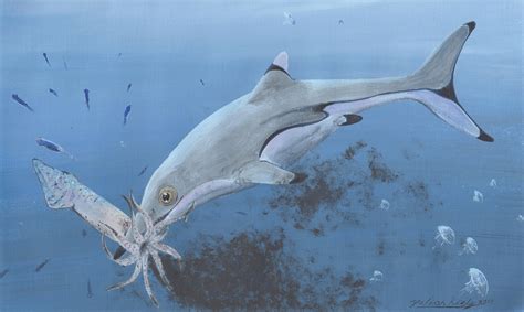 Prehistoric Squid Was Last Meal Of Ichthyosaur 200 Million Years Ago