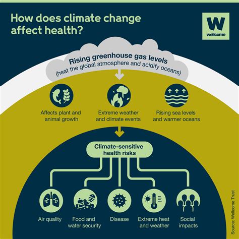 The Health Effects Of Climate Change Explained News Wellcome