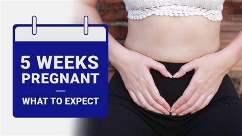5 Week Pregnant What To Expect Youtube