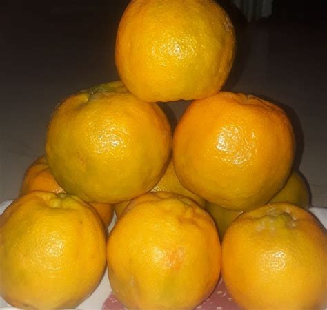 Orange At Rs 28000metric Ton Oranges In Katol Id 20590191888