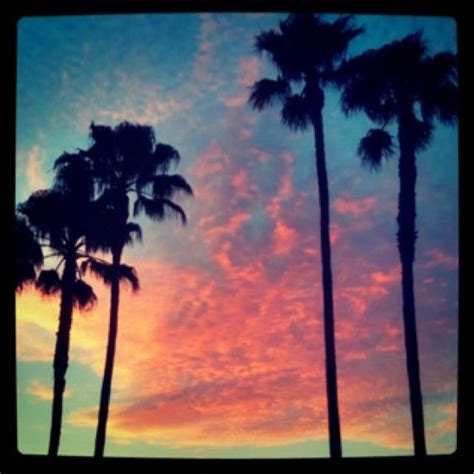 Palm Trees Are Silhouetted Against An Orange And Blue Sky