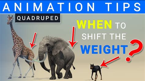 Free Tip When To Shift Quadruped Weight In Animation Youtube