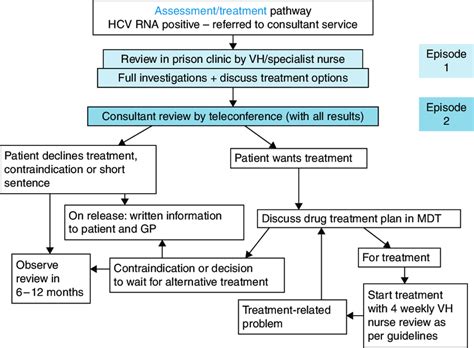 Hcv Treatment Pathway Developed By The Ne Hcv Task And Finish Group
