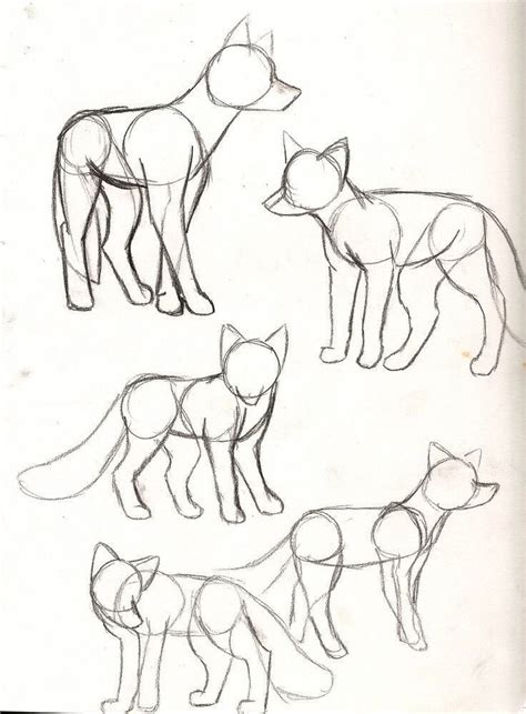 40 Free And Easy Animal Sketch Zeichnen Von Informationen Und Ideen