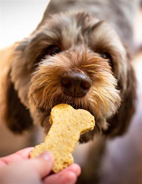 3 Ingredient Banana Peanut Butter Dog Treats A Virtual Vegan