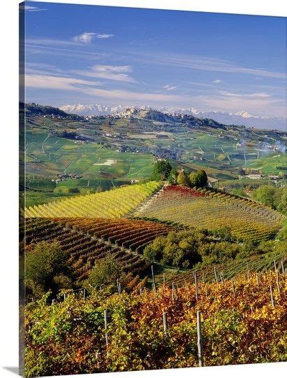 Italy Piedmont Langhe Barolo Vineyards And La Morra Village In