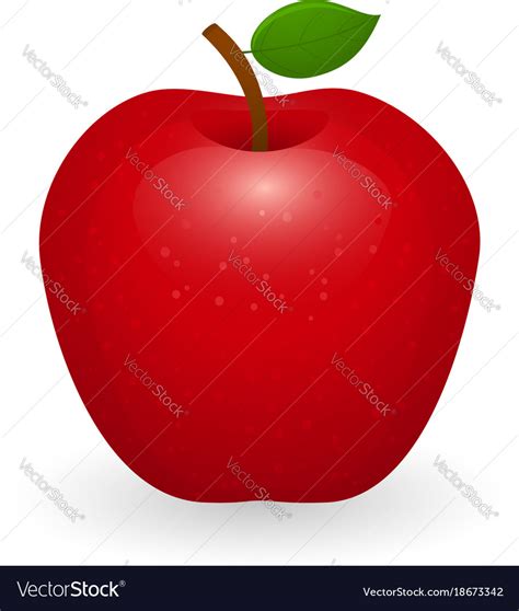 Red Apple Isolated Royalty Free Vector Image Vectorstock