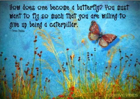 Quotes About Caterpillars Becoming Butterflies Aden