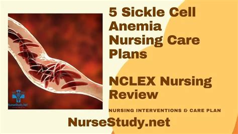Sickle Cell Anemia Nursing Diagnosis And Nursing Care Plans Sickle Cell