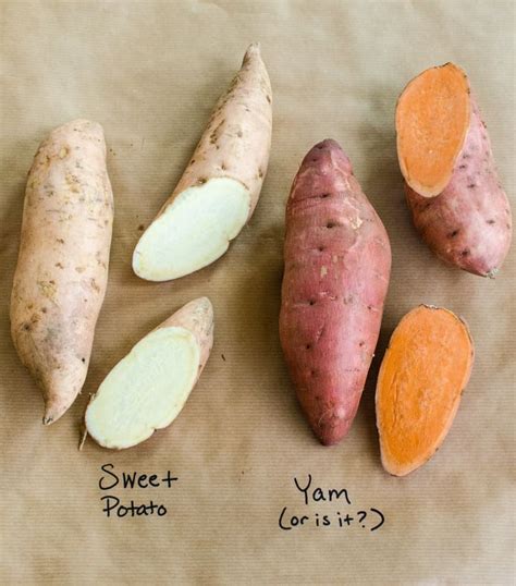 Your Guide To The Sweet Potato Our Best Recipes Suggestions And Tips