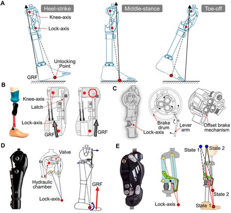 Frontiers Mechanisms And Component Design Of Prosthetic Knees A