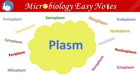Plasm The Word Plasm Come From Greek Word By Microbiology Easy