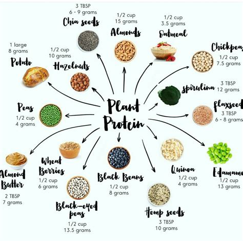 Plant Based Protein Sources Vegan Protein Sources Plant Protein