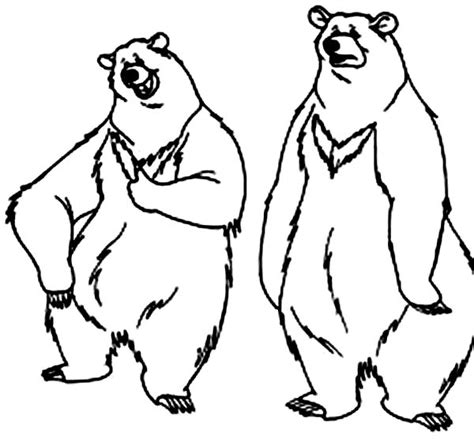 Select from 35870 printable coloring pages of cartoons, animals, nature, bible and many more. Two Silly Bear Coloring Page - NetArt
