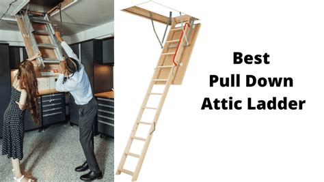 Best Ladders Attic Of 2023 Wan Press Org Hot Sex Picture