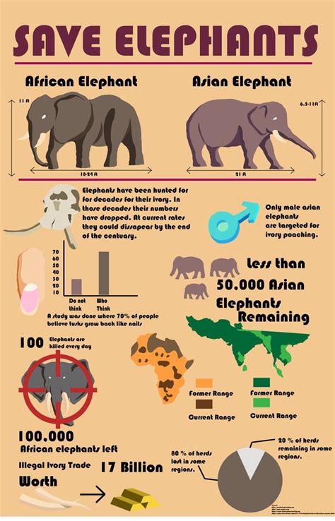 Pin By Jmenende On Project 3 Save The Elephants Asian Elephant