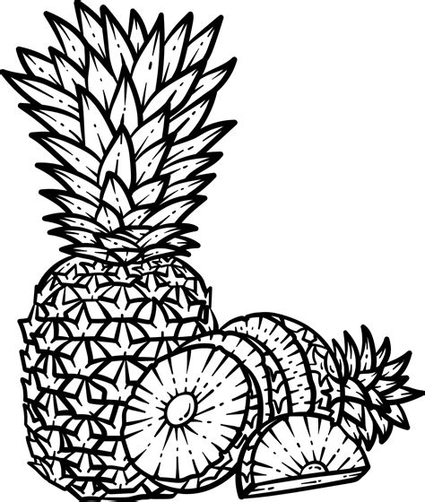 Summer Pineapple Line Art Coloring Page For Adult 20581528 Vector Art