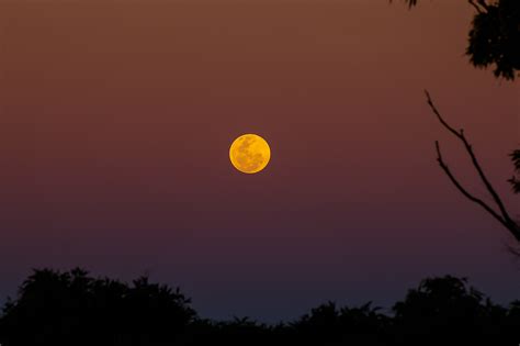 Луна на закате Большой фотоотчёт treepics ru