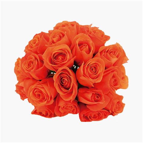 Beautiful Orange Roses Flower Delivery By Flower Mail