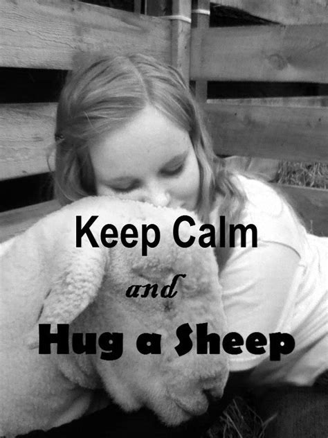 Keep Calm And Hug A Sheep Hug Sheep Calm
