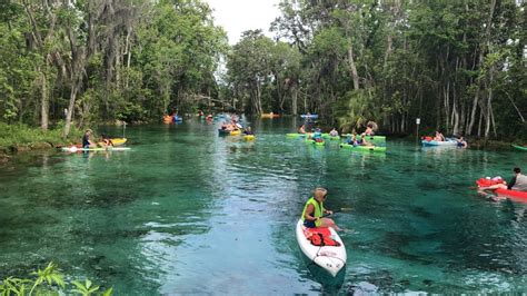 How To Explore The Great Outdoors In Crystal River Fl Just Short Of