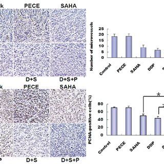 SAHA DDP PECE Inhibited Cell Proliferation And Intratumoral