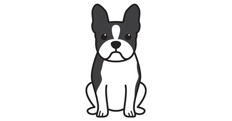 Boston Terrier Buy Boston Terrier Animation Online Boston Terrier