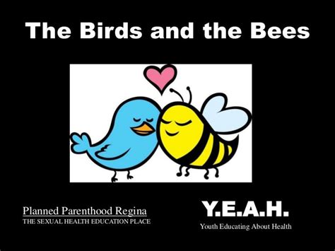 Birds And The Bees