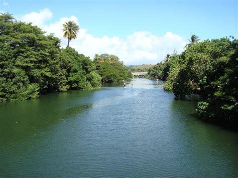 Anahulu Stream, North Shore - Oahu - Private Tours Hawaii : Personalized - Customized - Private ...