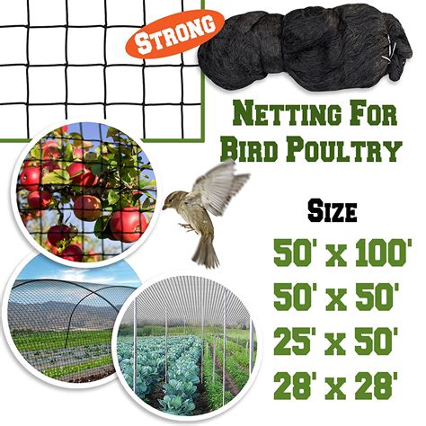 It is lightweight plastic netting that protects the fruit, but also allows light and air to get to the tree. Sunrise 50'x50' Heavy Duty Bird Netting Fruit Tree ...