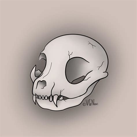 cat skull drawing cat skull an art print by nayla smith inprnt