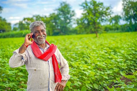 Indian Farmer Talking On Mobile Phone At Agriculture Field Stock Image