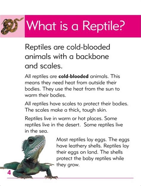 Go Facts Animals Reptiles Blake Education 9781865094649