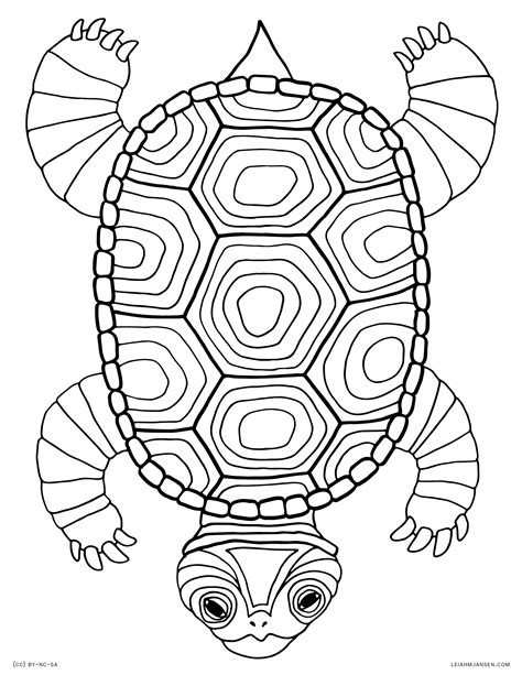 Turtle Shell Coloring Page