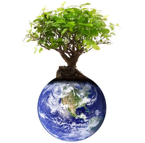 Premium Photo Planet Earth With Tree On White