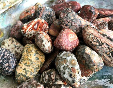 Leopardskin Jasper: Animal Spirit and Earth Connection | EVERYTHiNG SOULFuL