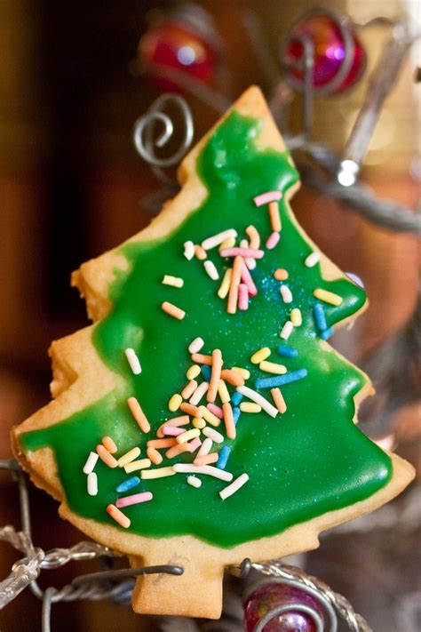 Poppy seeds, twaróg, pudding or seasonal fruit. Classic Polish Christmas Cookies Recipe | Polish christmas ...