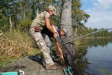 Alligator Hunting On Pinterest Alligators Hunting And Crocodiles