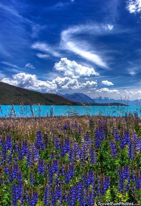 Lake Tekapo New Zealand With Images Scenery Nature Beautiful Places