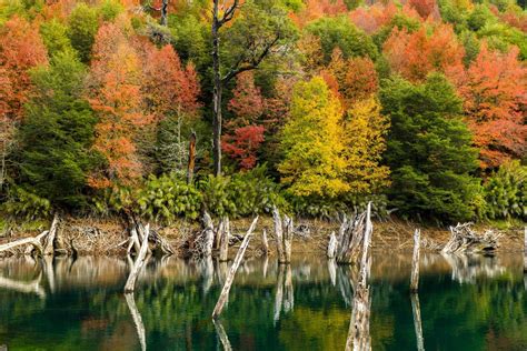 Nature Landscape Lake Fall Colorful Forest Trees
