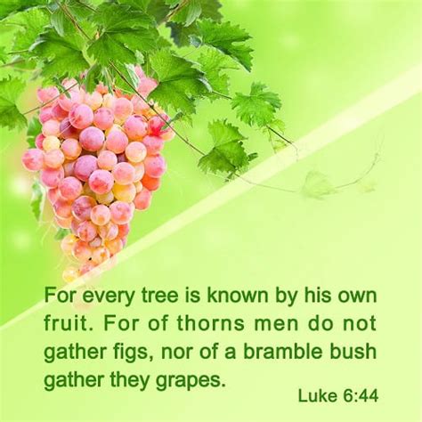 Bible Verse Luke 644