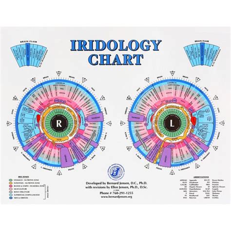 Iridology Chart Bernard Jensen