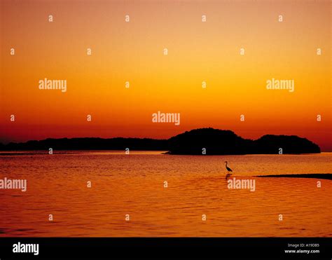 Sunset At Flamingo The Everglades National Park Florida Usa Stock Photo